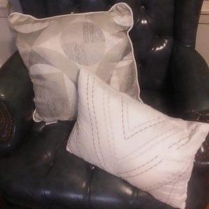 2 Accent Pillows